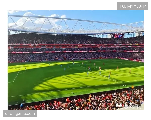 英超球迷：激情与坚持铸就的情感纽带