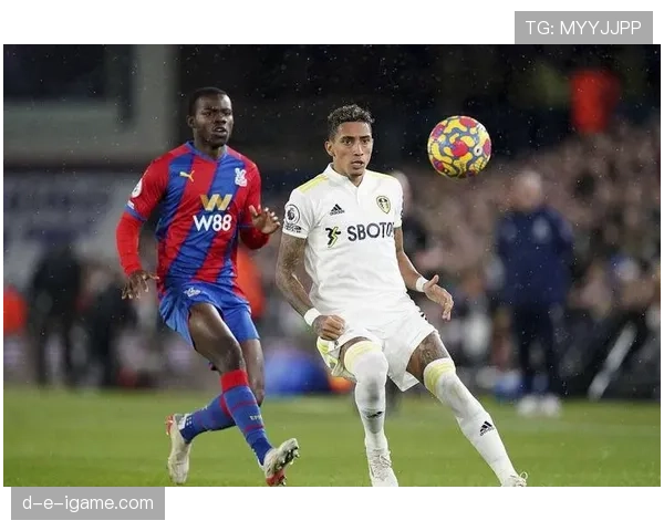 利兹联控球强势复苏，力争英超赛季突围