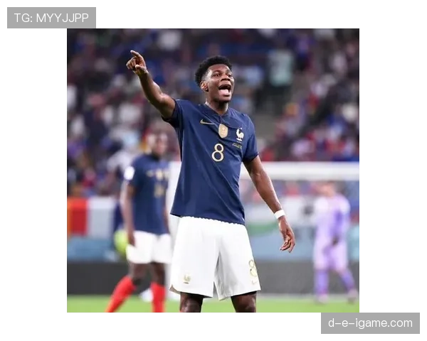 楚阿梅尼战术执行力 楚阿梅尼战术执行力