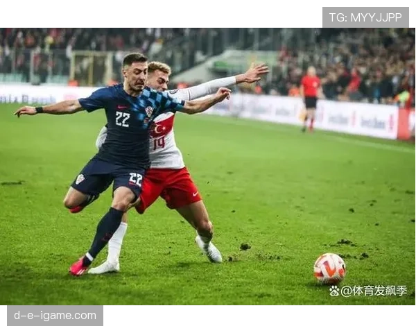 欧洲杯预选赛D组